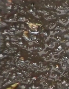 Japanese Piss Fetish Videos - Girls Pissing - Let The Good Times Flow